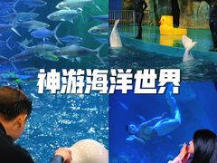 -威海华夏城景区