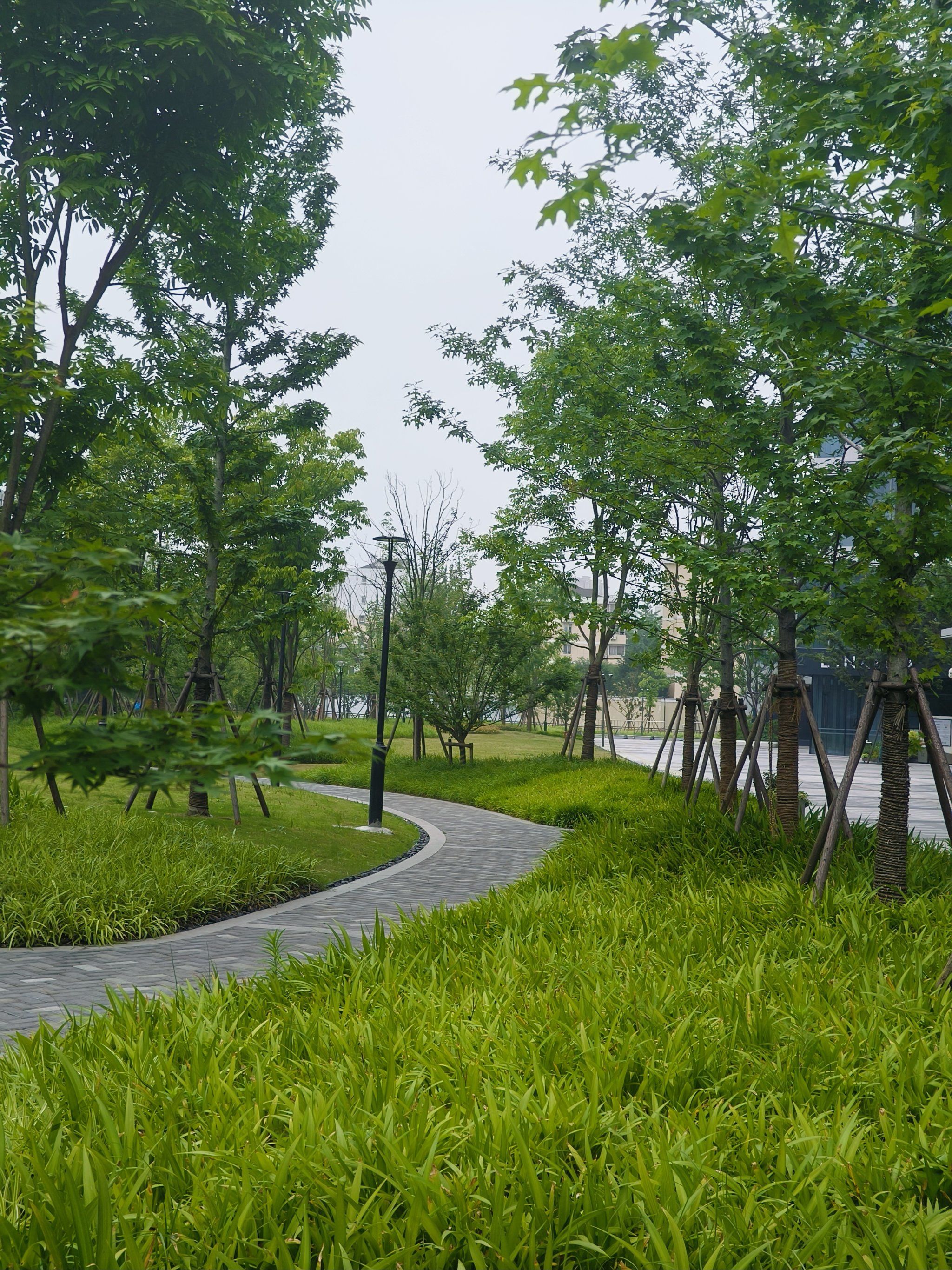 城市绿化与自然的完美结合