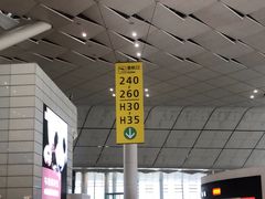 -郑州新郑国际机场-T2航站楼