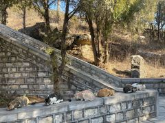 -四门塔风景区