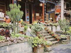 -寂照庵
