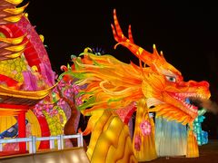 -武汉园博园(武汉自然博物馆)