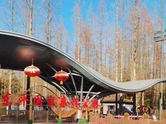 -东平国家森林公园