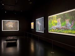 -罗红摄影艺术馆