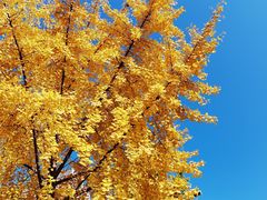 -来御来三汁焖锅(万邦店)