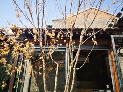 -VOYAGE COFFEE(杨梅竹店)