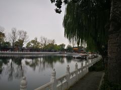 -后海公园