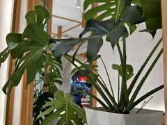 -饺子季水饺餐厅(新市街店)