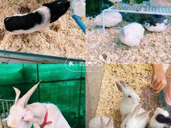 -史努比缤纷世界