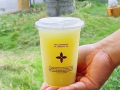 -茉莉奶白(广州动漫星城店)