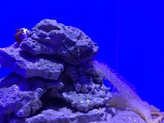 -青岛海底世界-水族馆