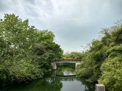 -西溪国家湿地公园