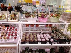 -KKV(天津津南吾悦广场店)