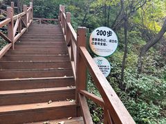-大岭沟猕猴桃谷风景区
