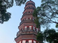 -顺峰山公园