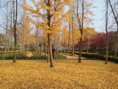 -蠡湖大桥公园