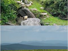 -芦芽山旅游度假区