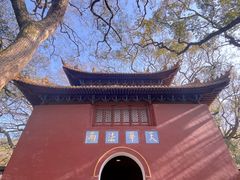 -普陀山风景名胜区-法雨禅寺