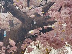 -祥源·阜阳生态乐园