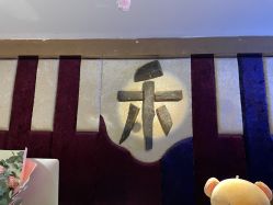 -琦品高端美容SPA会所