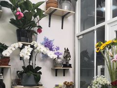 -FEI FEI FLOWER鲜花店·气球派对·宝宝宴布置(虹口德必运动Loft店)