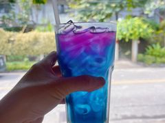 -蝶豆花蓝面条