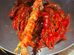 -沪小胖·小龙虾·蓝龙王(八佰伴店)