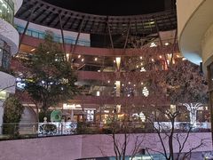 -瑞虹新天地月亮湾