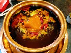 -镇江龙·火锅串串(武侯祠店)