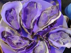 -千岛蚝高压锅生蚝·人参火锅(白云万达店)