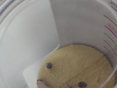 -宁耳听力助听器奥迪康峰力西门子斯达克(静安闸北店)