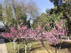 -山东师范大学(千佛山校区)