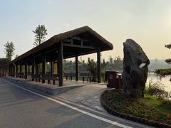 -枫香湖儿童公园