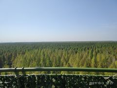 -黄海国家森林公园