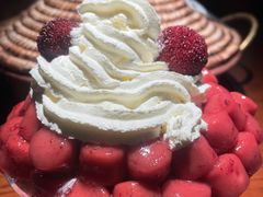 -花菇朵·云山雀 ll 野生菌火锅·精品云南菜(万柳店)