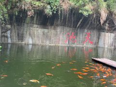 -千岛湖东南湖区