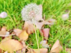 -长江文明馆