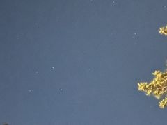 -黄山白云宾馆