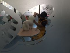 -瑞派宠物医院·24小时骨科·心脏·核磁(哈尔滨南岗店)