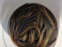 -丝绸小镇荻港古村