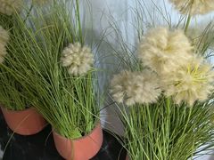 -唐宫足道·SPA·住宿24H会所(木渎店)