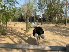 -大连森林动物园