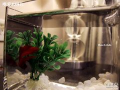 -杭州西湖桔子水晶酒店