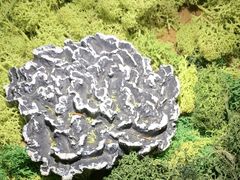 -首开·龙湖成都西宸天街