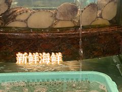 -好吉祥大酒楼
