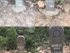 -梧桐山风景名胜区