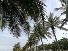 -西秀海滩公园
