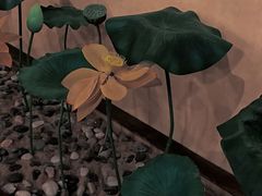 -素心斋素食餐厅