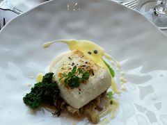 银鳕鱼-福楼法餐厅FLO