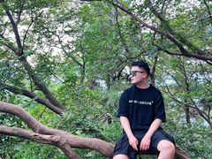 -敬亭山风景名胜区